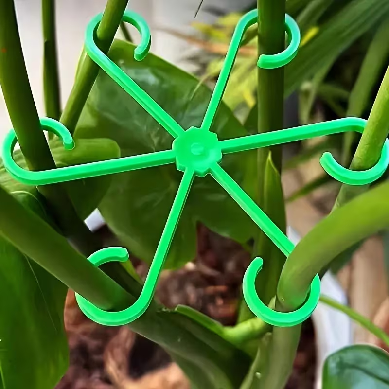 Variegated Monstera Node - 8ピース植物茎サポートセット（固定クリップ、クライミングサポートステーク、花茎ガーナー、モンステラ茎サポート付き）