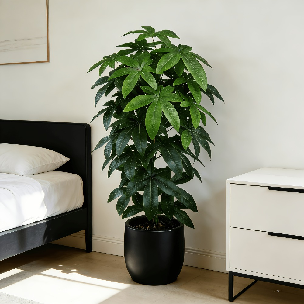 Fiddle Leaf Fig - 人工の金のなる木パキラ・アクアティカは、科学的にも知られる金のなる木・平和の木として、緑の枝と鮮やかな葉が特徴です。