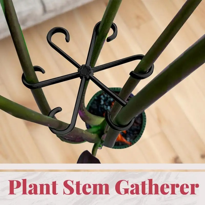 4 個のつる植物サポートクリップ花茎コレクション固定ラックつ - Variegated Monstera Node のレビューと価格