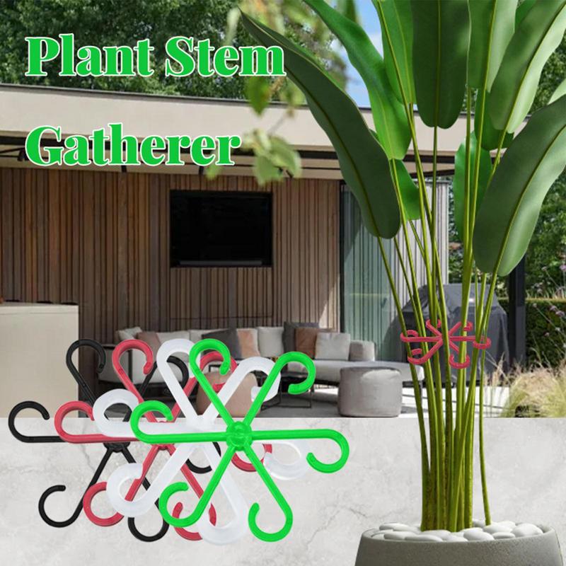 4 個つる植物サポートクリップ花茎コレクション固定ラッククラ - Variegated Monstera Node のレビューと価格