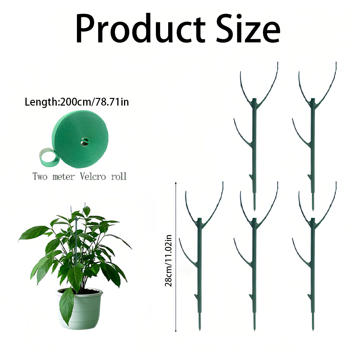 6個入り モンステラ植物サポートステーク、つる性植物の茎を支 - Variegated Monstera Node のレビューと価格
