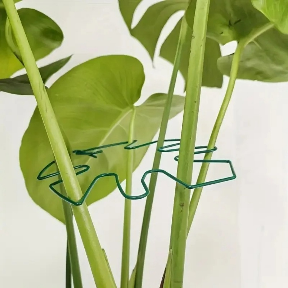 1個入り大型プラントスタンド、屋内植物用クリップ、鉄製フック - Variegated Monstera Node のレビューと価格