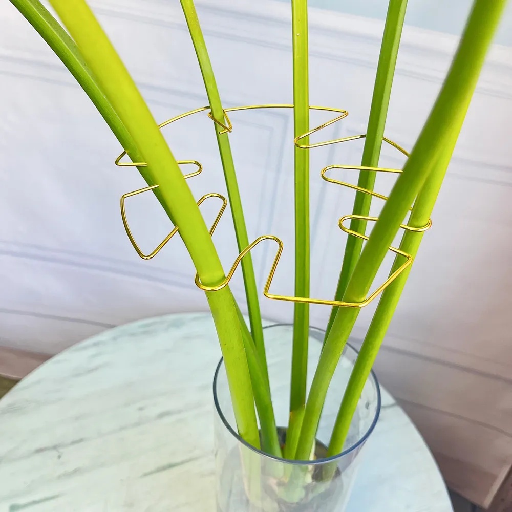 1個入り大型プラントスタンド、屋内植物用クリップ、鉄製フック - Variegated Monstera Node のレビューと価格