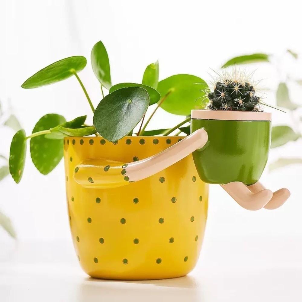 樹脂製親子フラワーポット、排水穴付きフローラルアレンジメント - Plant Parental のレビューと価格
